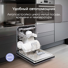 ZIGMUND & SHTAIN DW 308.6 посудомоечная машина нержавеющая сталь