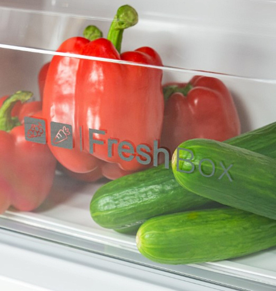 LEX LSB530WGID холодильник белый