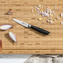 ZWILLING ALLSTAR нож для овощей 100 мм черный