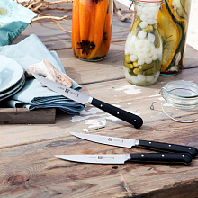 ZWILLING 39029-000 STEAK набор ножей 4 пр. черный