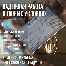 ALPICOOL NL30 (12/24) автохолодильник серый