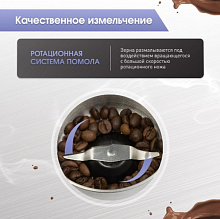 ZIGMUND & SHTAIN ZCG-10 кофемолка нержавеющая сталь