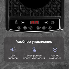 ZIGMUND & SHTAIN ZIP-572 варочный центр черный