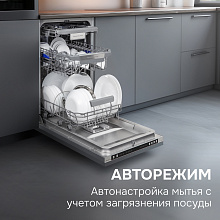 ZIGMUND & SHTAIN DW 310.4 посудомоечная машина нержавеющая сталь