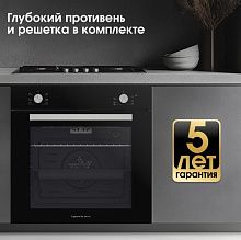 ZIGMUND & SHTAIN E 175 B духовой шкаф