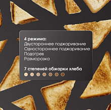ZIGMUND & SHTAIN ST-95 тостер нержавеющая сталь