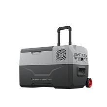 ALPICOOL CX30 (12/24) автохолодильник серый